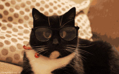 Content distribution strategy